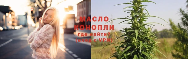 индика Абинск