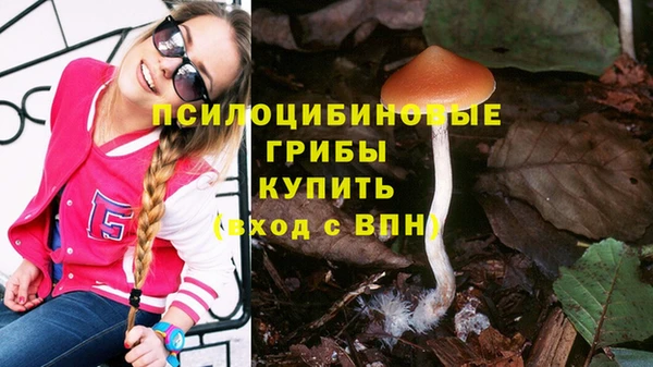 СК Алзамай