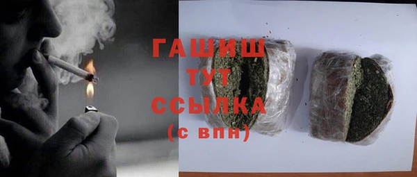 индика Абинск