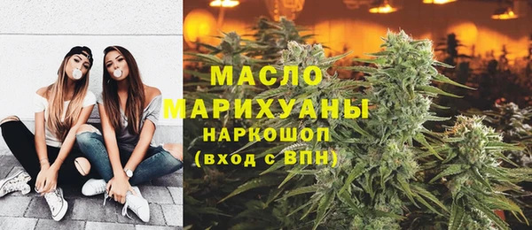 индика Абинск
