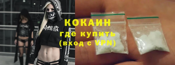 индика Абинск