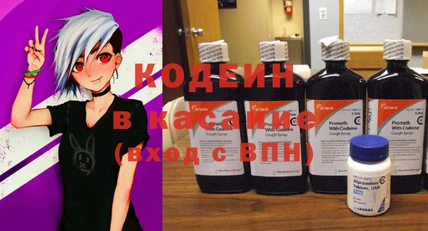 индика Абинск