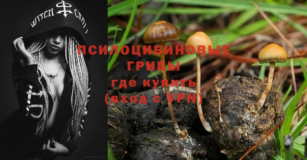 индика Абинск