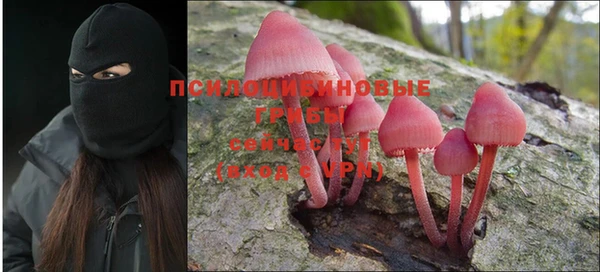 СК Абдулино