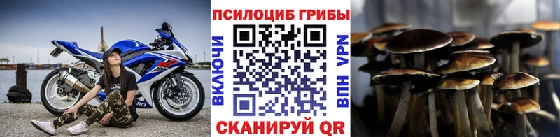 Галлюциногенные грибы Psilocybine cubensis  shop Telegram  МЕГА рабочий сайт  Красавино  наркота 